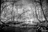 Le ruisseau Sabrevois IR Full Spectrum B&W