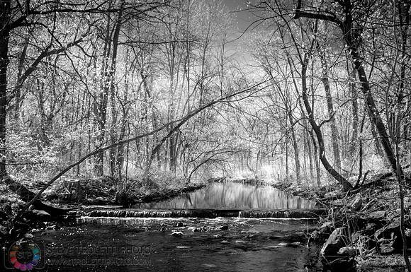 Le ruisseau Sabrevois IR Full Spectrum B&W