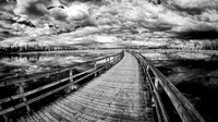 The long and narrow path - IR - Le chemin long et étroit