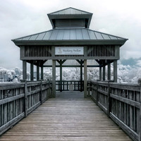 Bird Park at Ponte Vedra Beach Library