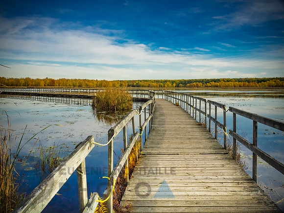 Autumn landscape