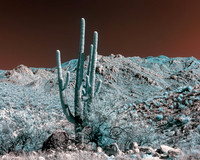 INFRARED