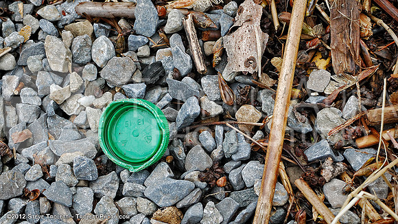 Trash Littering the banks of Montreal's Île-de-la-Visitation Nature Park