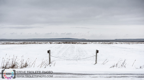 Cap Tourmente National Wildlife Area in winter