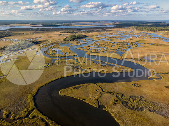 NE Florida Wetlands - St Johns County