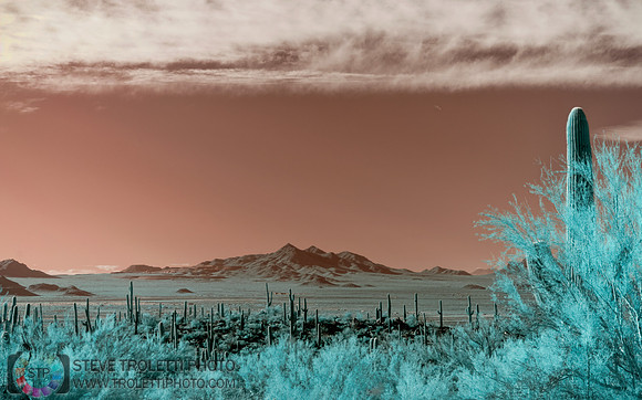 Southern Arizona - IR