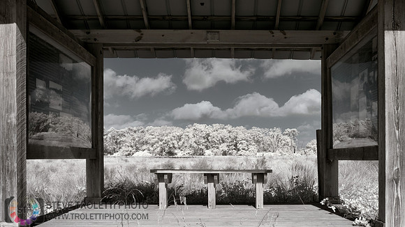 Florida Wildlife Observation Deck - IR