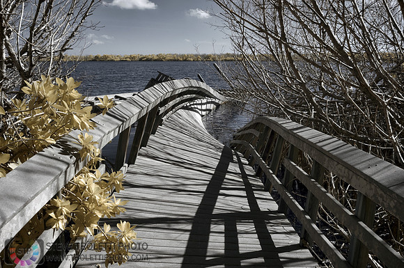 Hurricane Damage - IR