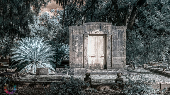 Bonaventure Cemetery - Savannah Georgia