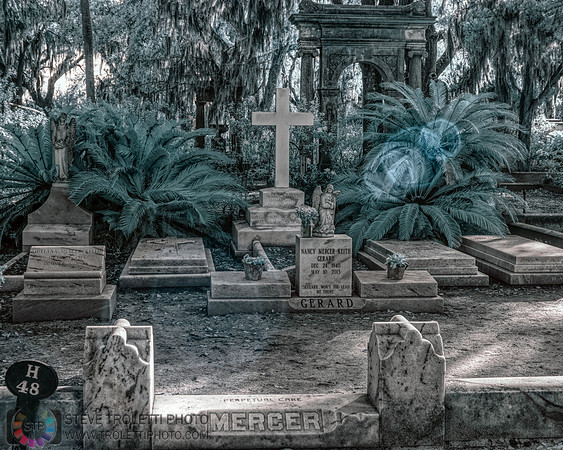 Bonaventure Cemetery - Savannah Georgia