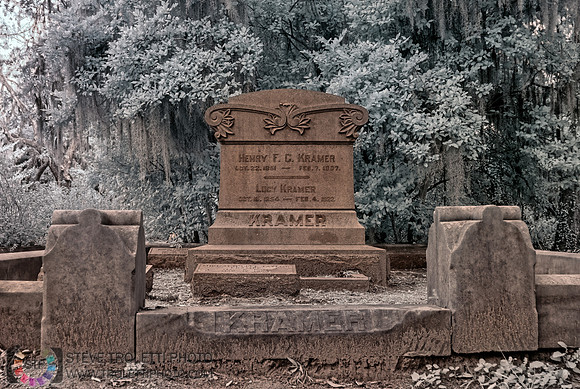 Bonaventure Cemetery - Savannah Georgia