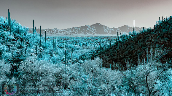 Scenic Arizona Mountain desert view - IR