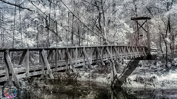 Northern Florida Nature Parks - IR