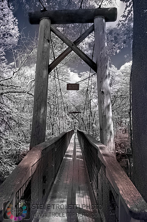 Northern Florida Nature Parks - IR