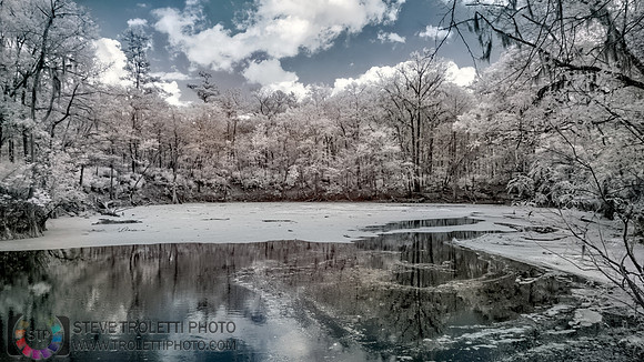 Northern Florida Nature Parks - IR