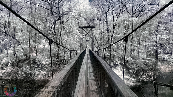 Northern Florida Nature Parks - IR