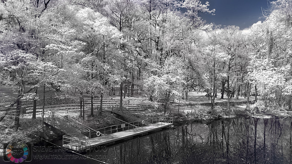 Northern Florida Nature Parks - IR
