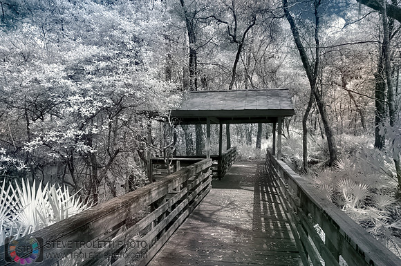 Northern Florida Nature Parks - IR