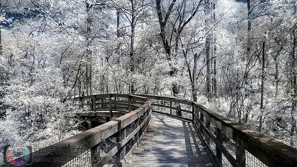 Northern Florida Nature Parks - IR