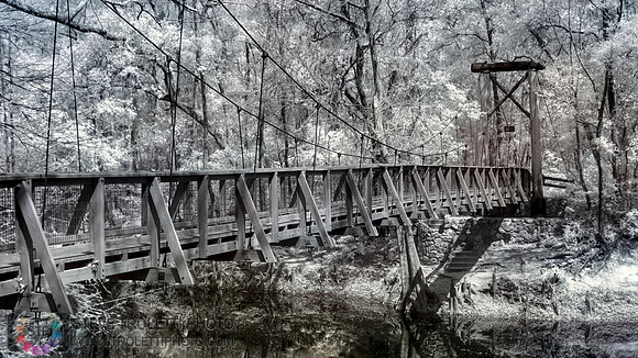 Northern Florida Nature Parks - IR