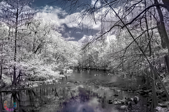 River -Northern Florida Nature Parks - IR