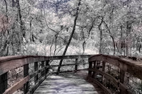Passerelle - Northern Florida Nature Parks - IR