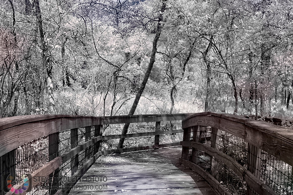 Passerelle - Northern Florida Nature Parks - IR
