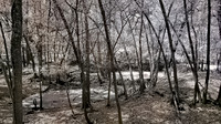 Northern Florida Nature Parks - IR