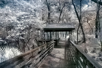 Passerelle and Covered Wildlife Blind - IR
