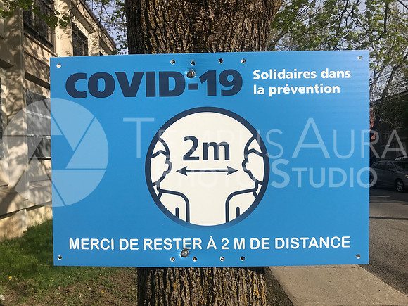 Carelessly damaging trees? A bad for a good?