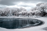 NE Florida Winterlike IR