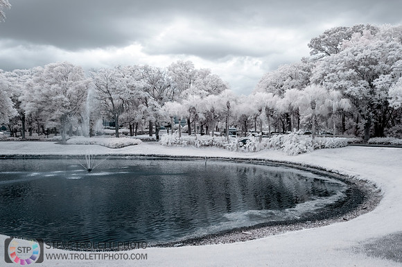 NE Florida Winterlike IR