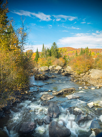 Autumn landscape