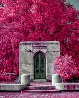GEORGE W. TIEDEMAN (1861-1935)  - Bonaventure Cemetery IR560