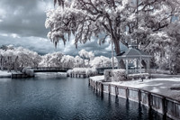 Gazebo and Pedestrian bridges - IR