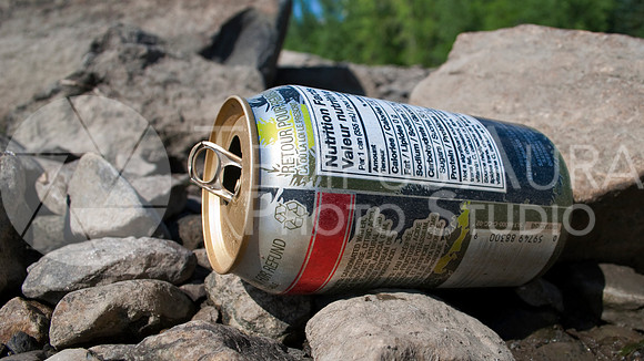 Aluminum soda can Déchets - Parc Nature Île-de-la-Visitation Nature Park - Litter