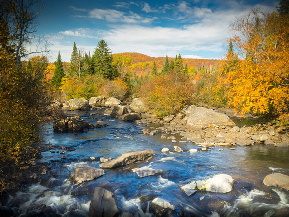 Autumn landscape