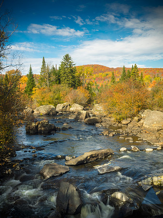 Autumn landscape