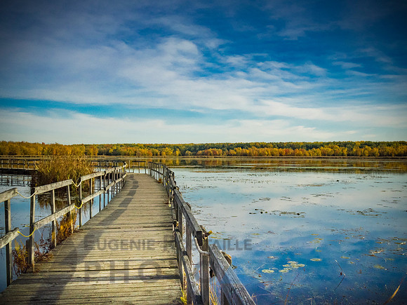 Autumn landscape