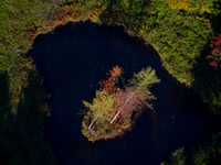 Helicopter tour