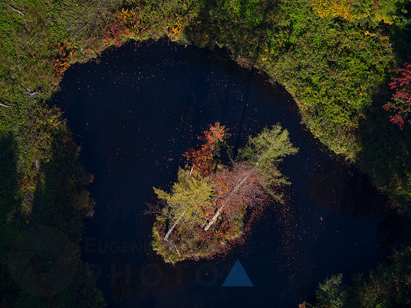 Helicopter tour