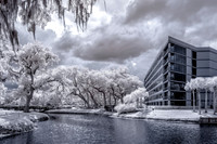 Infrared Sawgrass Marriott Golf Resort & Spa