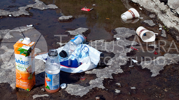Oasis,  Minute Maid, paper cups, plastic bottles - Déchets Parc Nature Île-de-la-Visitation Nature Park Litter
