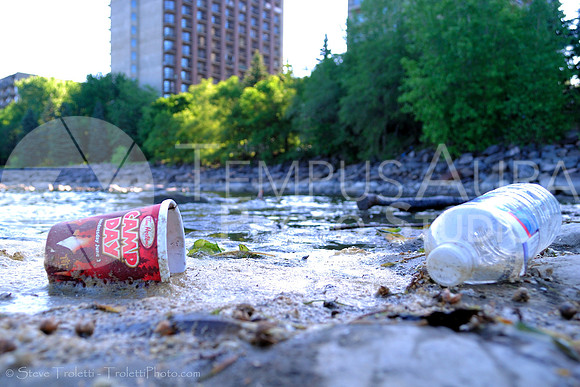 Litter - Tim Hortons Coffee Cup / Déchets - Tasse de café Tim Hortons