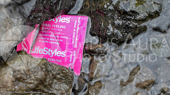 Trash Littering the banks of Montreal's Île-de-la-Visitation Nature Park