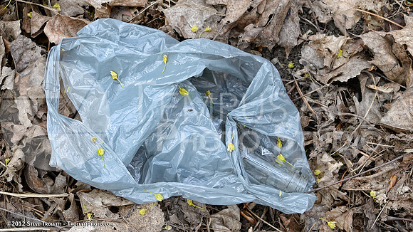 Trash Littering the banks of Montreal's Île-de-la-Visitation Nature Park
