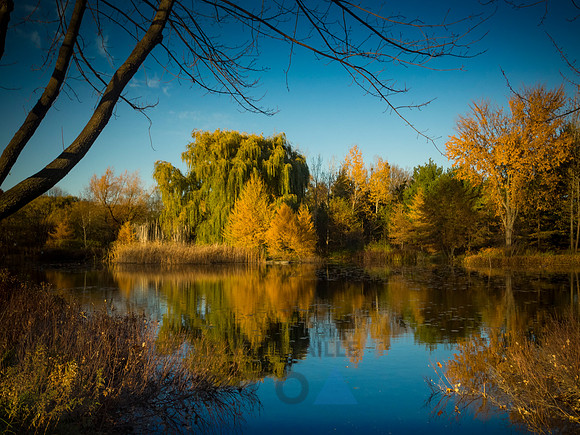 Autumn landscape
