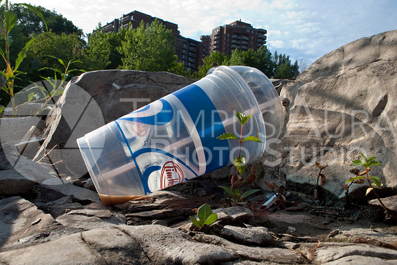 Plastic Tim Hortons Cup / Goblet en plastic - Litter / Déchets - Île-de-la-Visitation