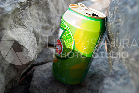 Déchets - Parc Nature Île-de-la-Visitation Nature Park - Litter