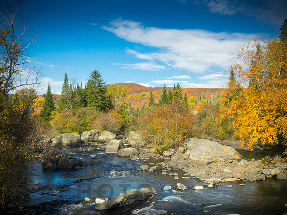 Autumn landscape
